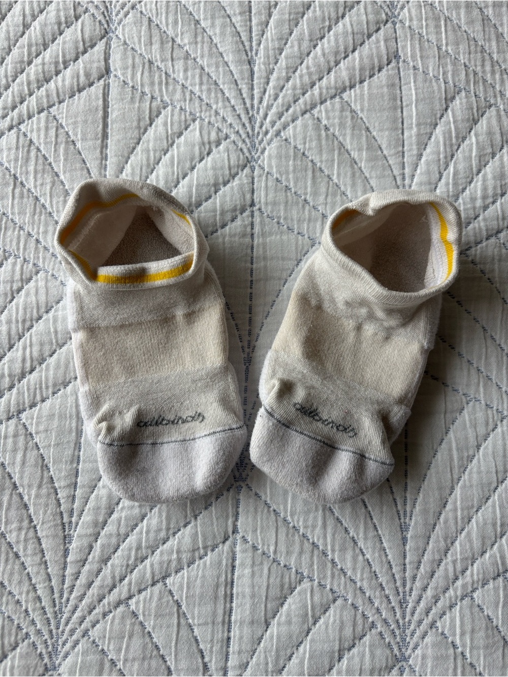 allbirds Women's No-Show Athletic Socks in Cream with Yellow Trim